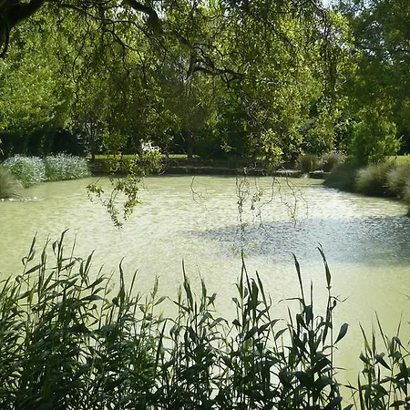 Oda ve Kahvaltı Manoir Ville Davy